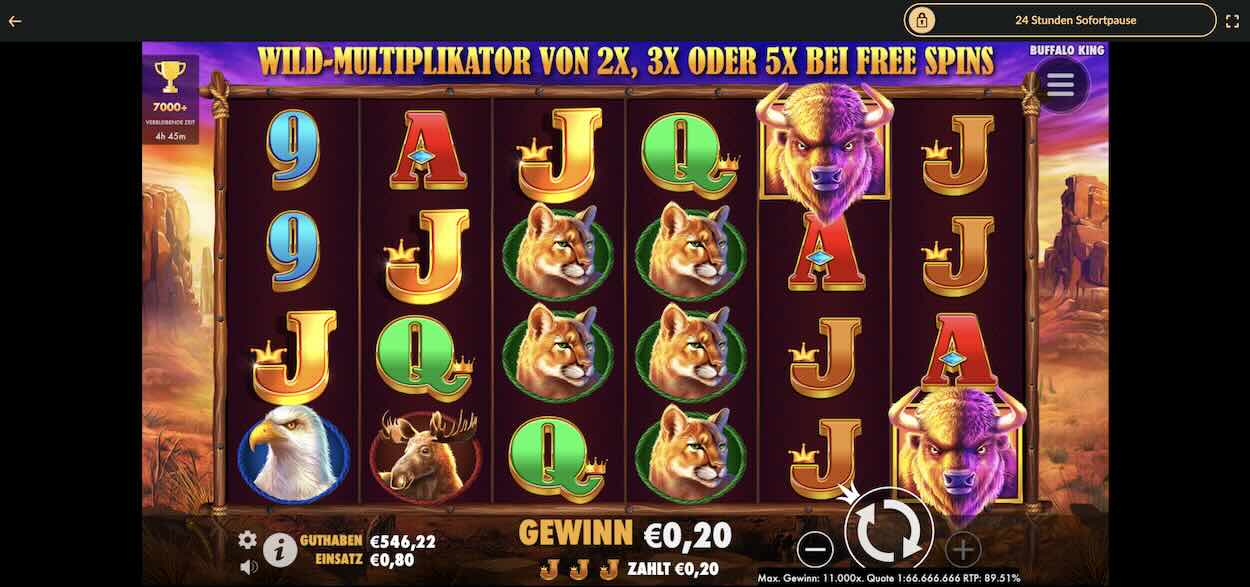 buffalo-king-spielen-gewinn