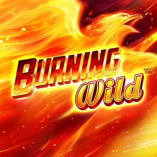 greentube burning-wild 500x500-min